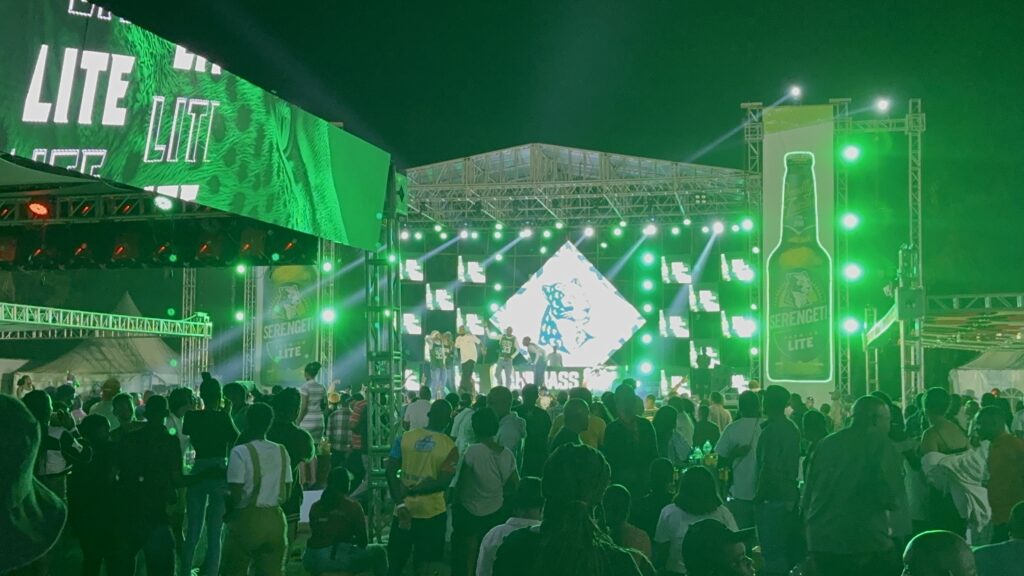 LED screen displaying dynamic visuals during peak moment of the 'Lite Your Imagination' event at Hugo’s Garden, with a lively crowd enjoying music and holding Serengeti Lite beers.